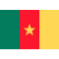 Cameroon badge