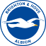 Brighton & Hove Albion badge