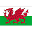 Wales badge